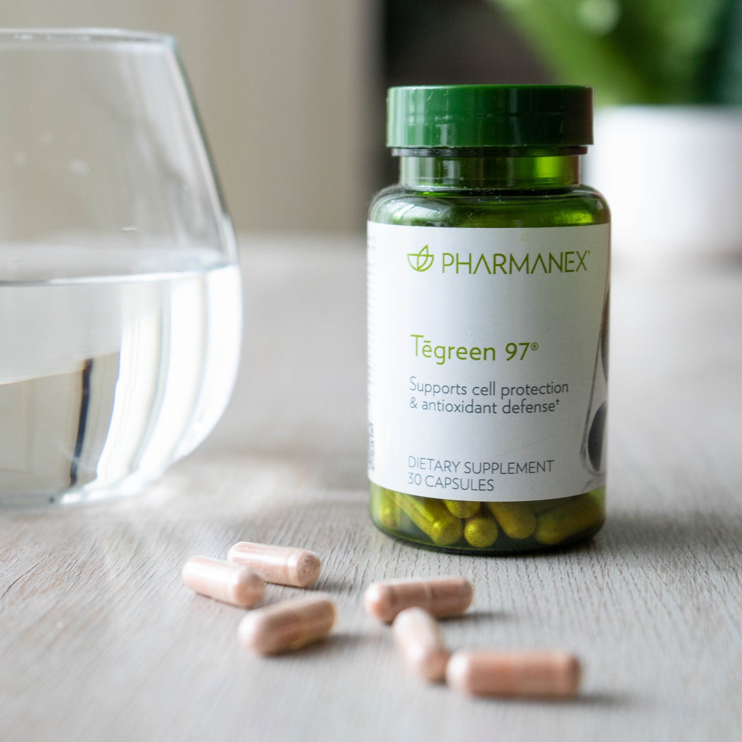 Tegreen 97® – Advanced Cellular Protection and Metabolism Support (30 Capsules)
